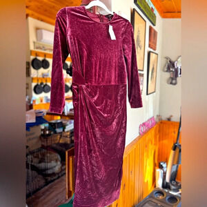 NWT velour dress